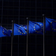 European Union leaders urged the U.S. to reconsider its decision to withdraw from the World Health Organization (WHO).